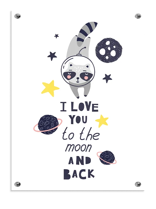 Playful Space Raccoon Adventure Plakat