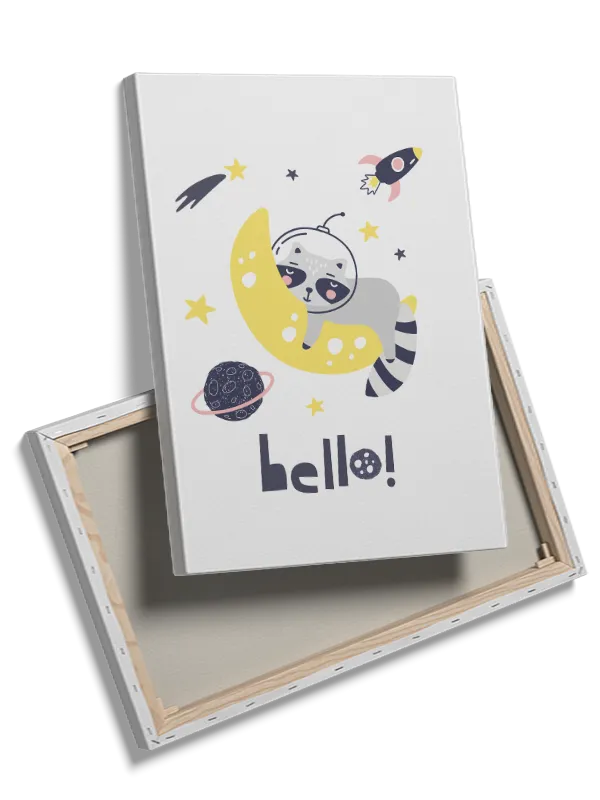 Playful Space Raccoon Dream Plakat