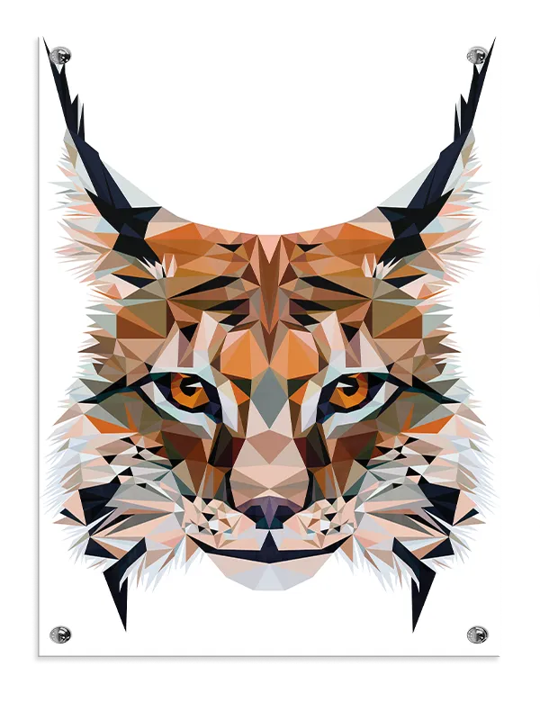 Curious Lynx Geometric Plakat