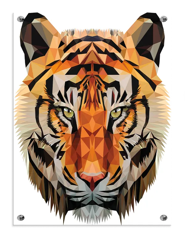 Brave Geometric Tiger Face Plakat