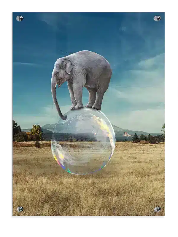 Playful Elephant Bubble Balance Plakat
