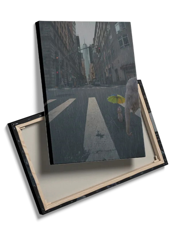 Playful Elephant Rainy Adventure Plakat