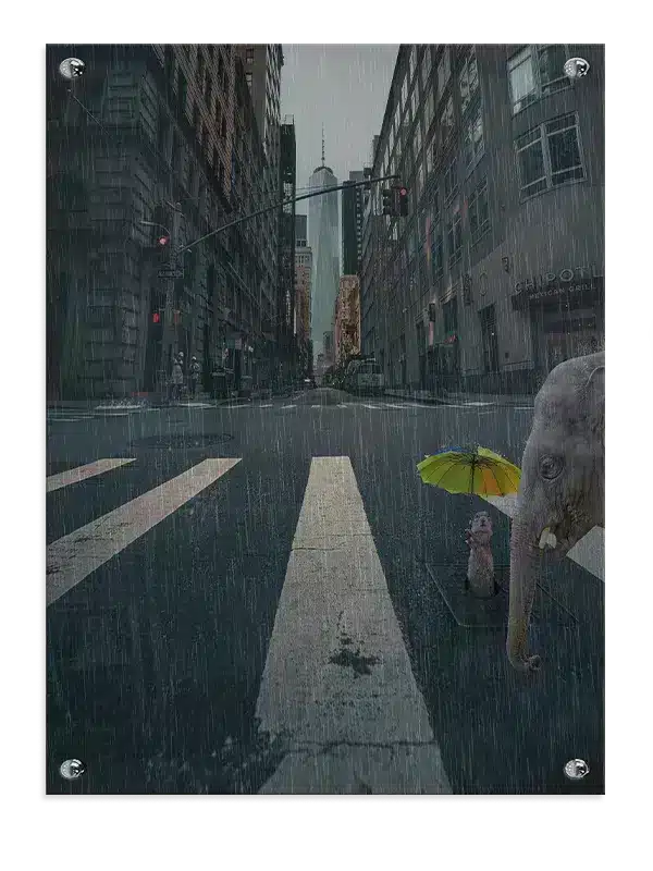 Playful Elephant Rainy Adventure Plakat