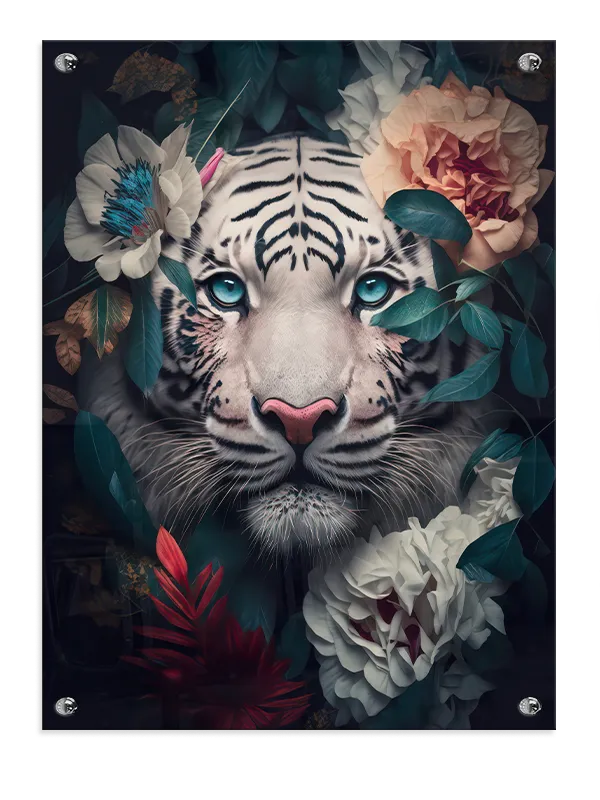 Curious White Tiger Face Plakat