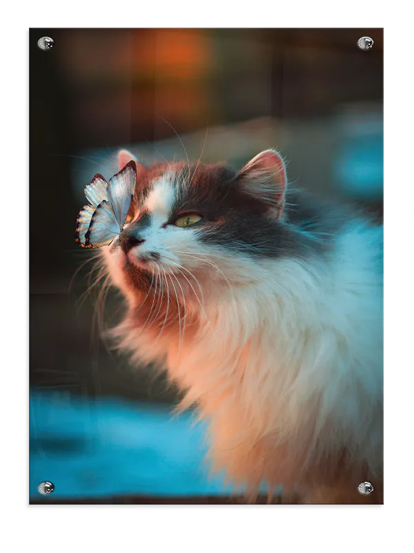 Gentle Cat With Butterfly Plakat