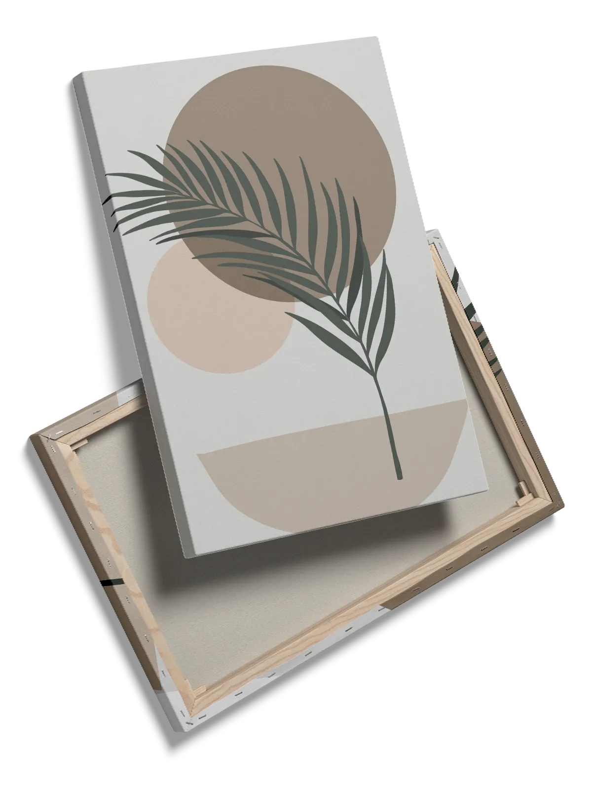 Palm Leaf Contours Plakat