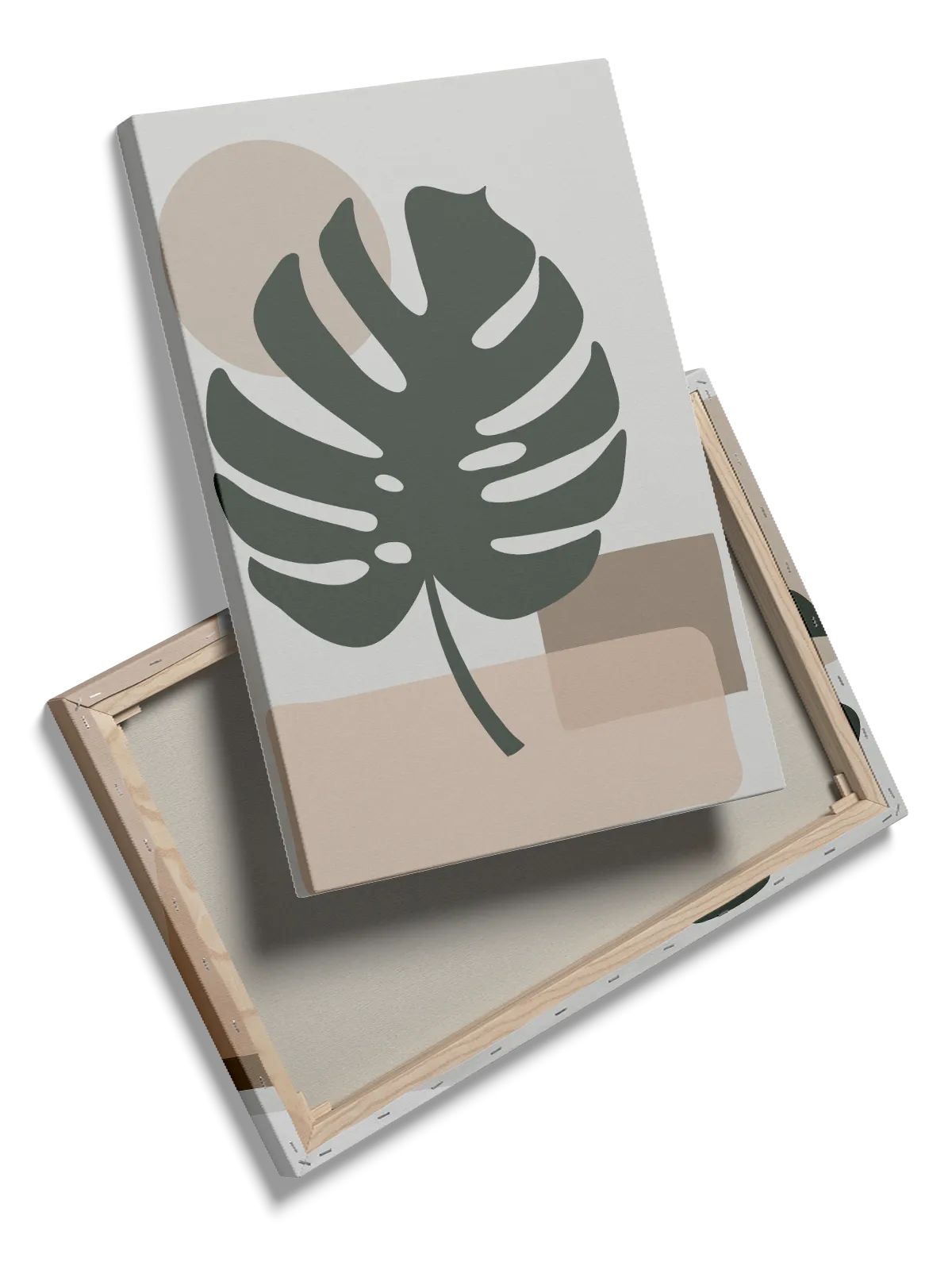 Monstera Shadow Layers Plakat