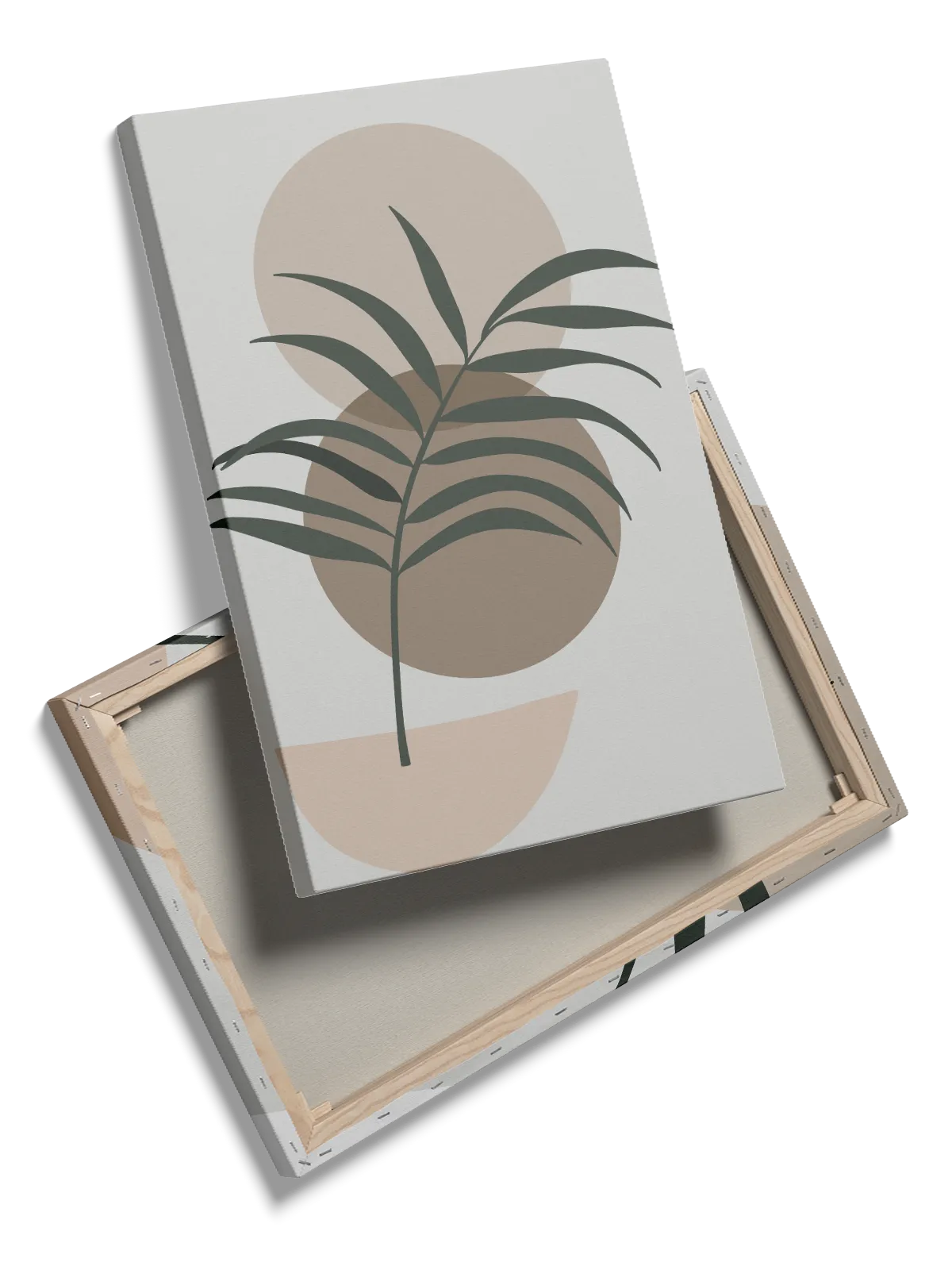 Curved Palm Contours Plakat