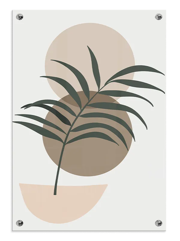 Curved Palm Contours Plakat