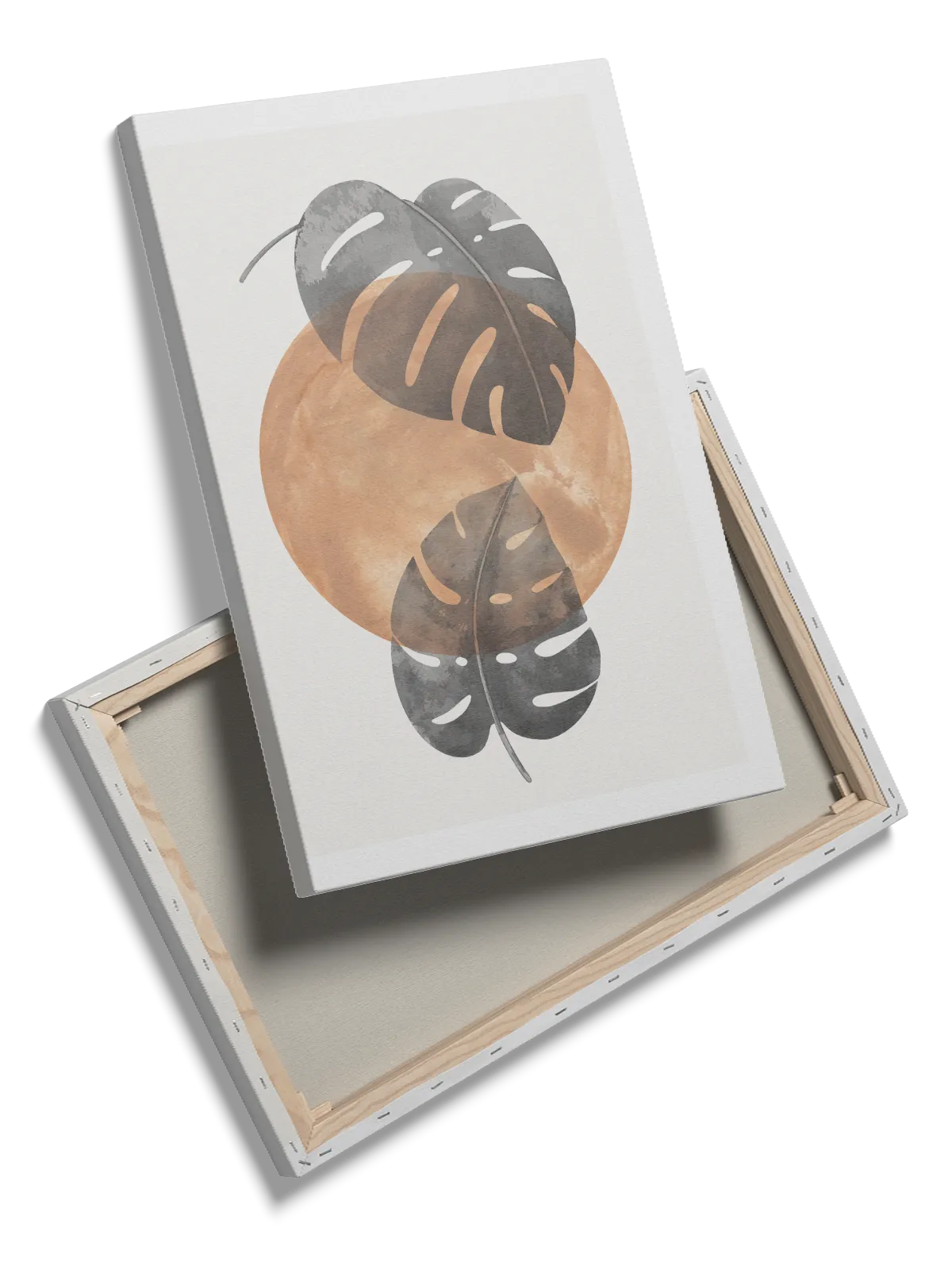 Monstera Orbit Plakat