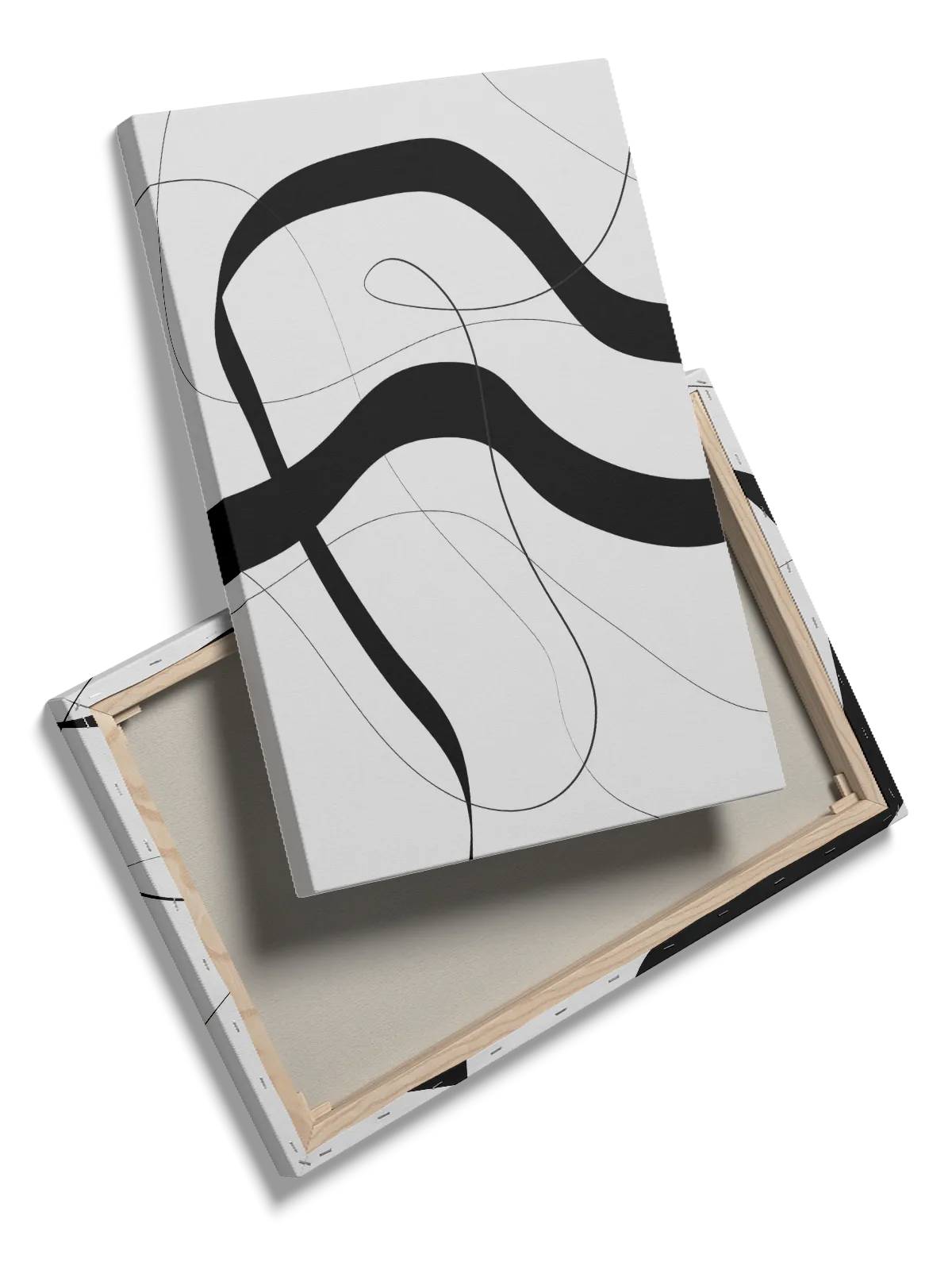 Fluid Contour Paths Plakat