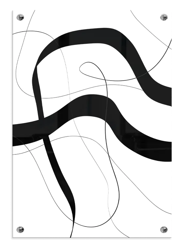 Fluid Contour Paths Plakat
