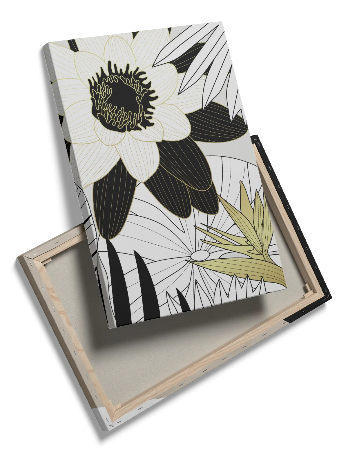 Lily Pond Contours Plakat