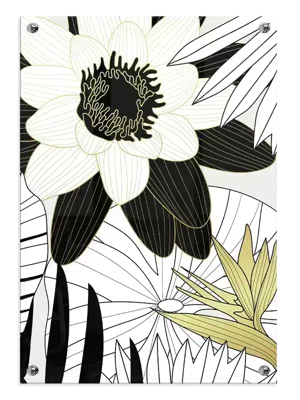 Lily Pond Contours Plakat