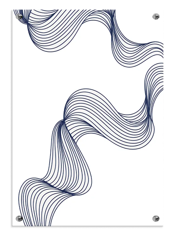 Fluid Curve Contours Plakat