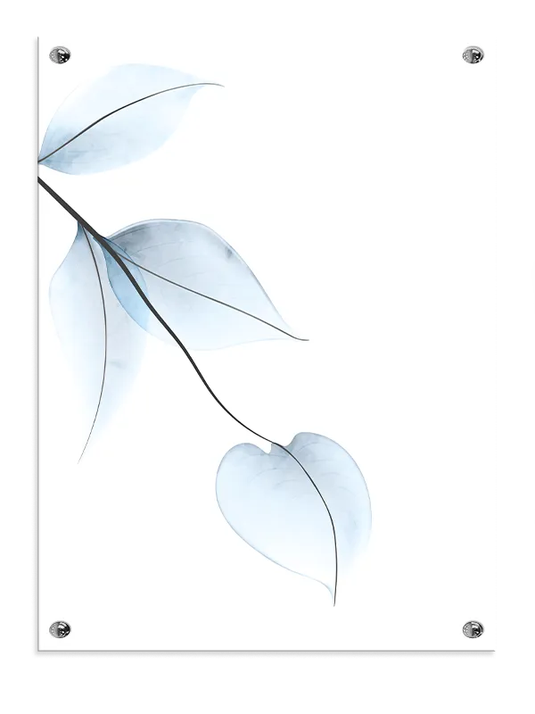 Icy Veined Leaves Plakat