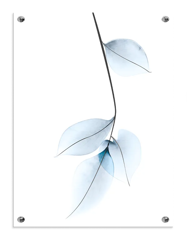 Translucent Blue Leaves Plakat