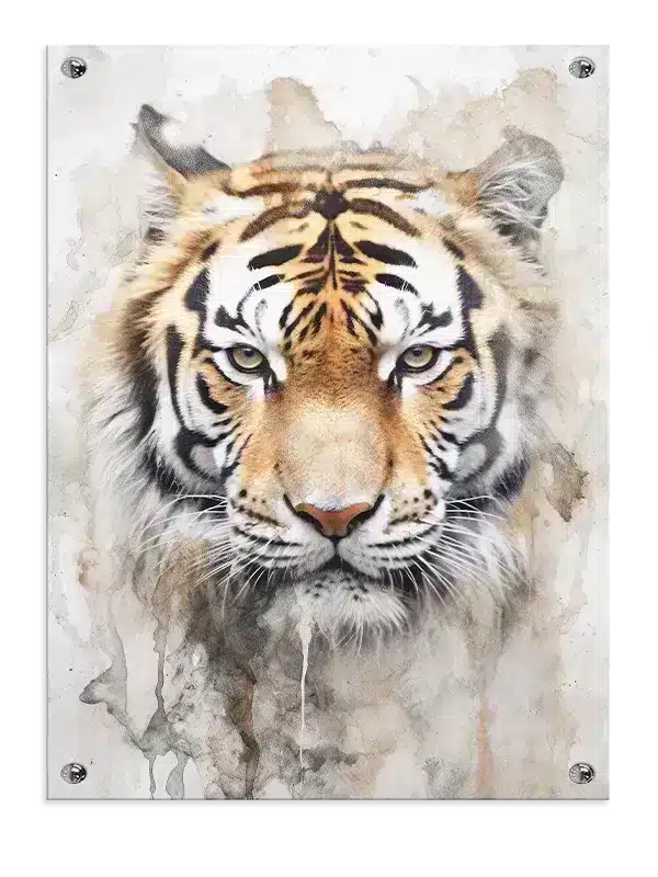 Regal Tiger Gaze Plakat