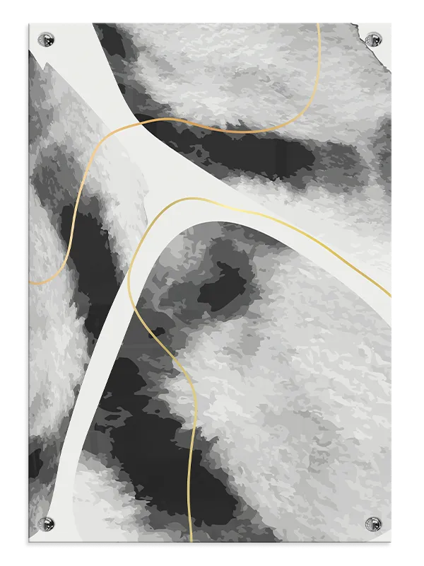 Veiled Contour Flow Plakat