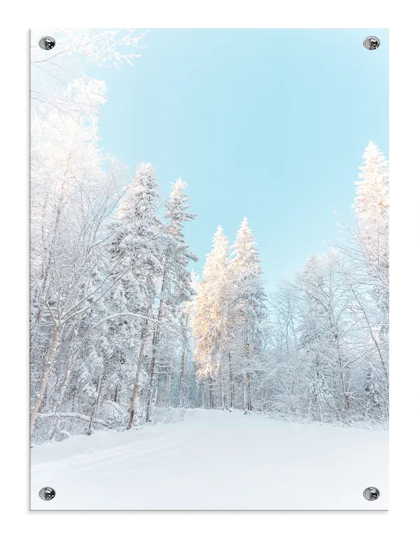 Vinterlys i Fyrreskov Plakat