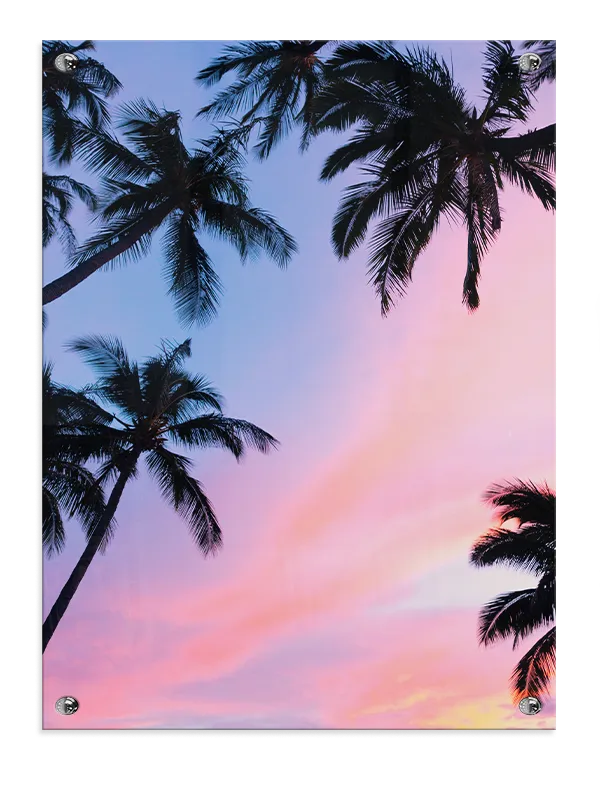 Palmer i Solnedgang Plakat