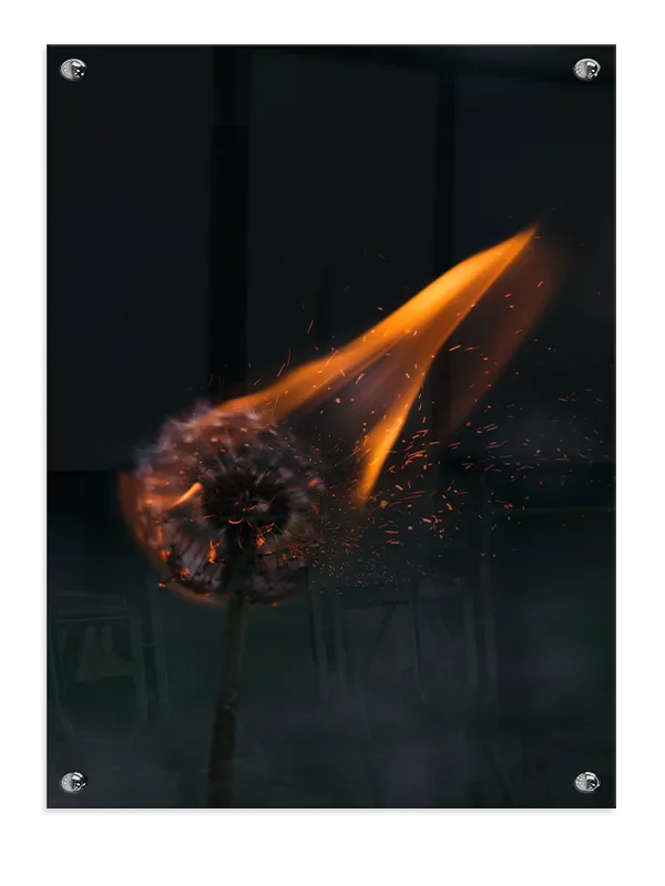 Flammende Mælkebøtte Plakat