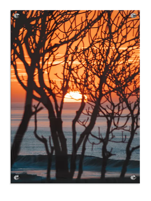Solnedgang Bag Grenene Plakat