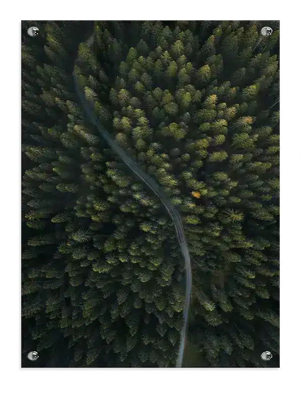 Slingrende Skovvej Plakat