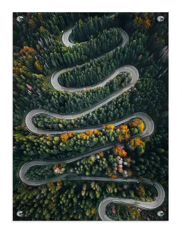 Slynget Skovvej Efterår Plakat