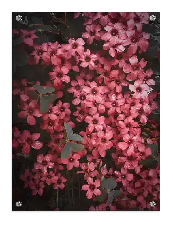 Pink Vilde Blomster Plakat