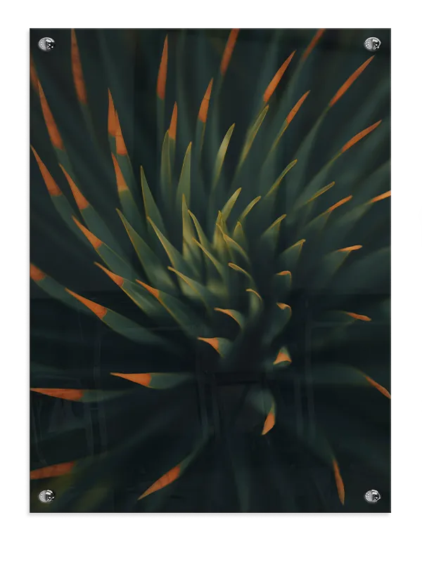Agaveblade med Orange Spidser Plakat