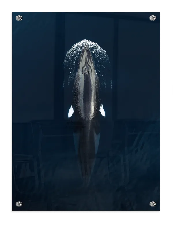 Spækhugger i Havet Plakat