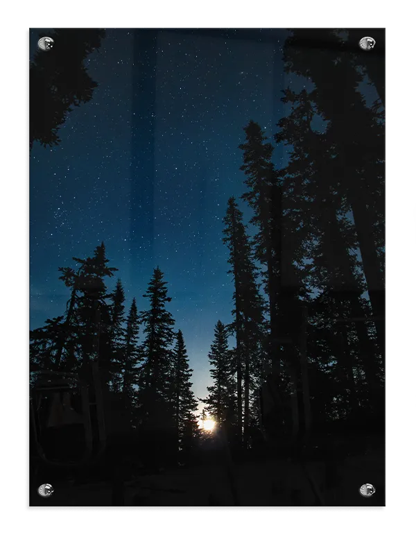 Stjernehimmel Over Fyrreskov Plakat