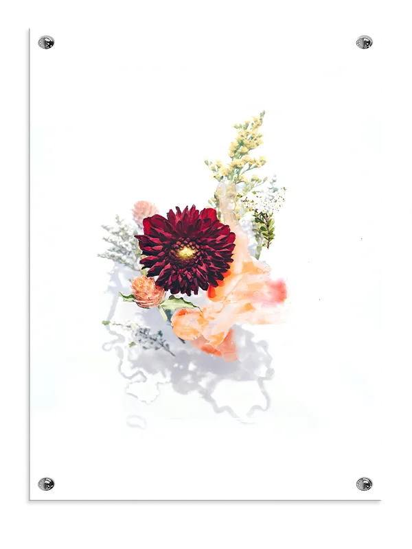 Mørkerød Dahlia Buket Plakat