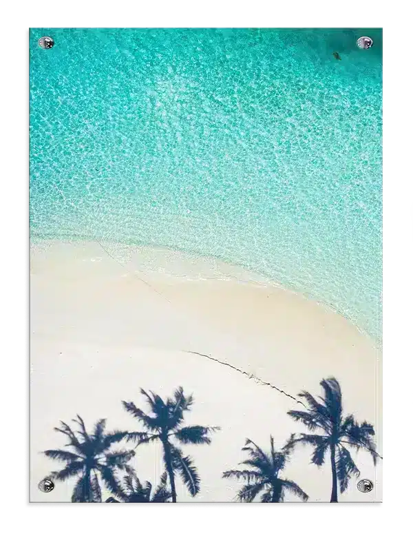 Palmeskygger Ved Strandkant Plakat