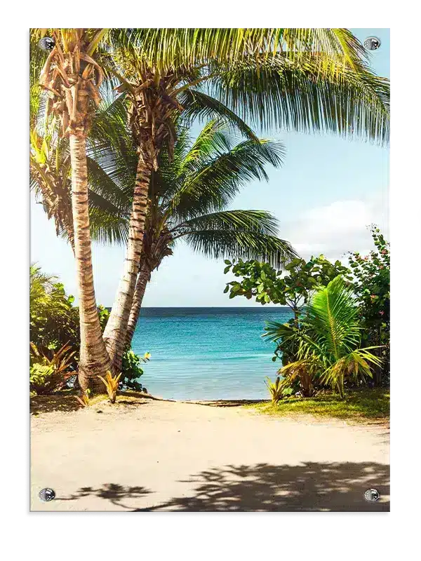 Tropisk Strandudsigt Plakat