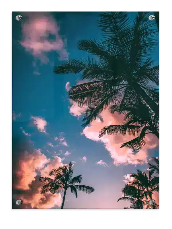 Palmer Under Aftenhimmel Plakat