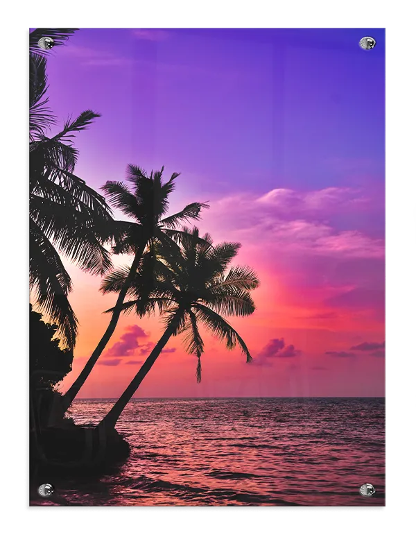 Palmer Ved Solnedgang Plakat