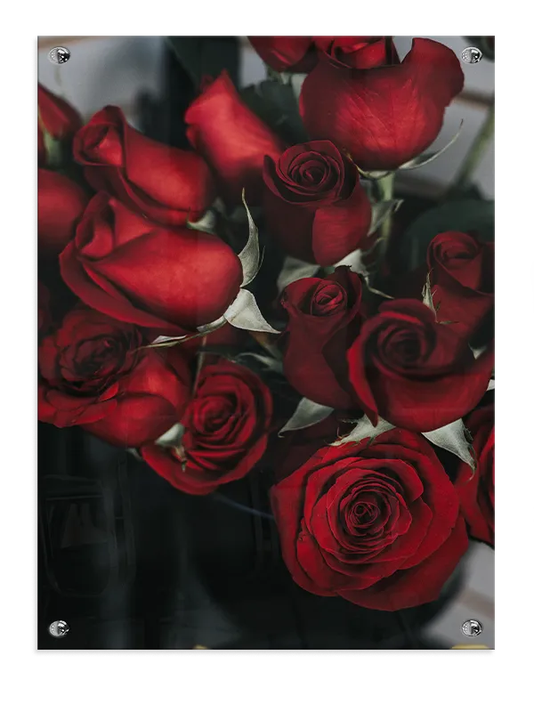 Røde Rosers Nærhed Plakat