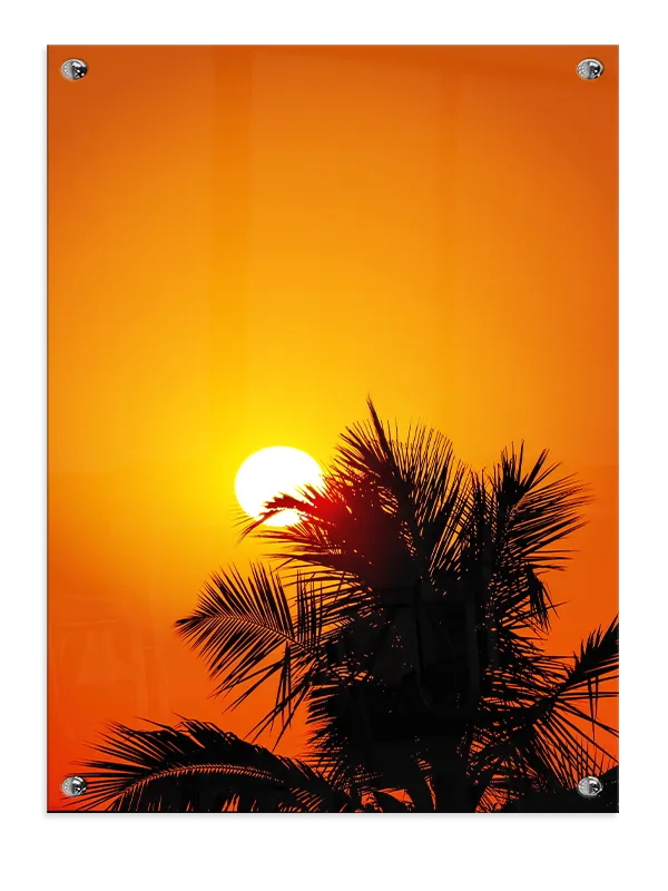 Palme Silhuet Solnedgang Plakat