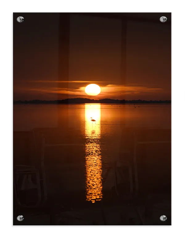 Flamingo i Solnedgang Plakat