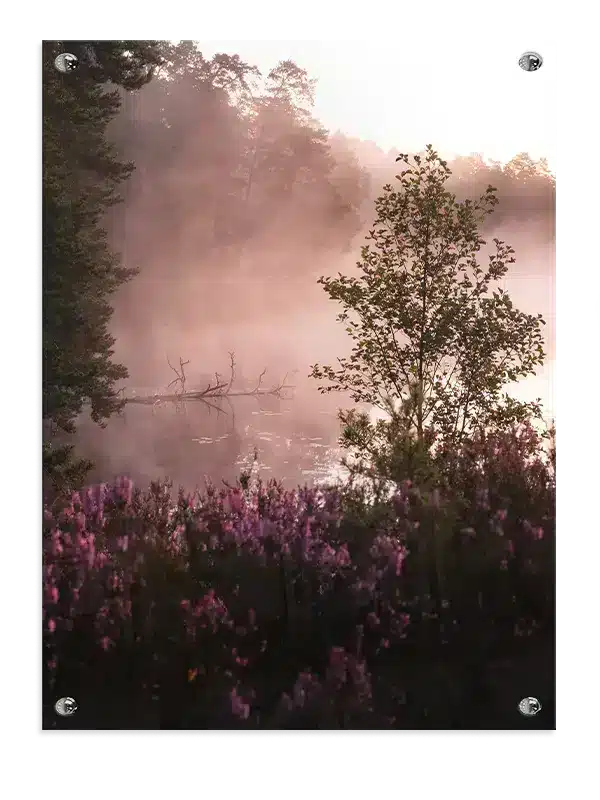 Lyng og Morgenrøg Plakat