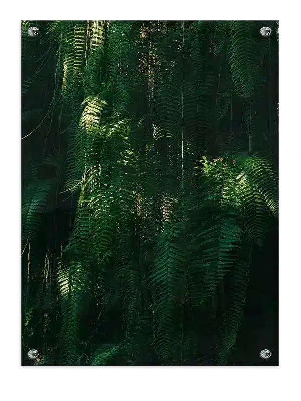 Bregner i Skovens Mørke Plakat