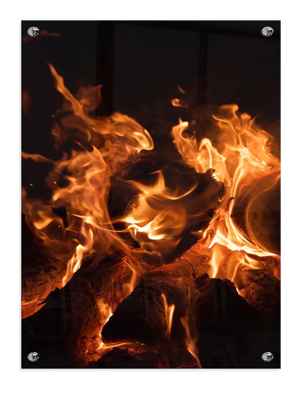 Flammer Over Træstammer Plakat