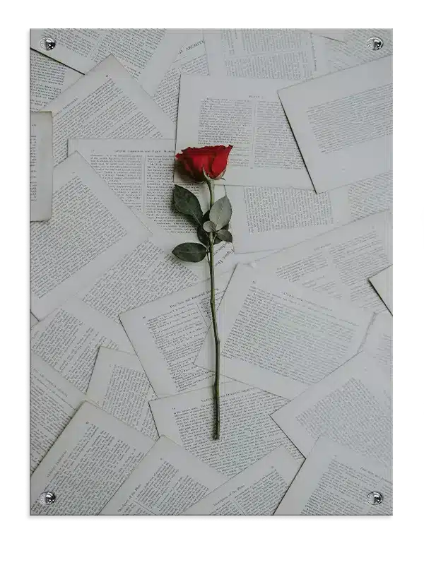 Rose bogsider med typografi collage tekstur