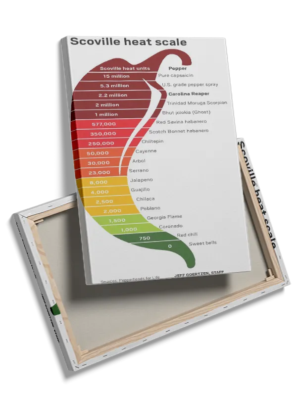 Chilipeberskalafarvegradient med typografiinfografiktekst linjer