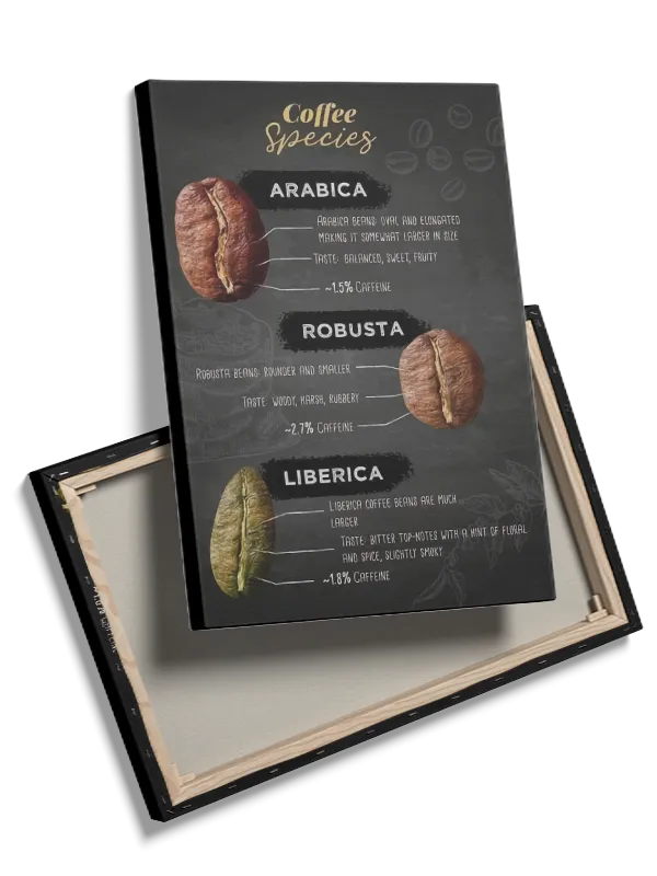 Kaffebønnerkaffearterinfografik med typografiillustrationtekstur mønster