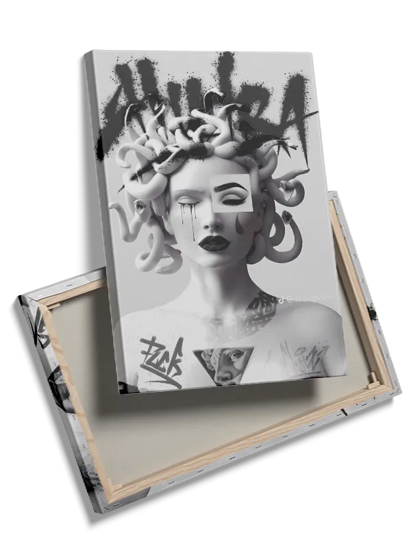 Monokrom Medusa med Graffiti