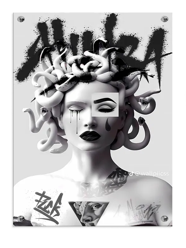 Monokrom Medusa med Graffiti