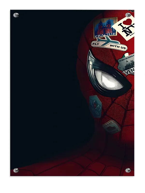 Spider-man Maske med Rejsemærker